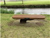 Lodi Park - Goeres - 14-Bench - Joanne Frankland