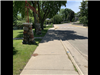 Lodi Park - Haberman - 3-sidewalk frontage