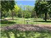 Lodi Park - Strangeway - 3-Swingset