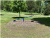 Lodi Park - Strangeway - 4-Seesaw