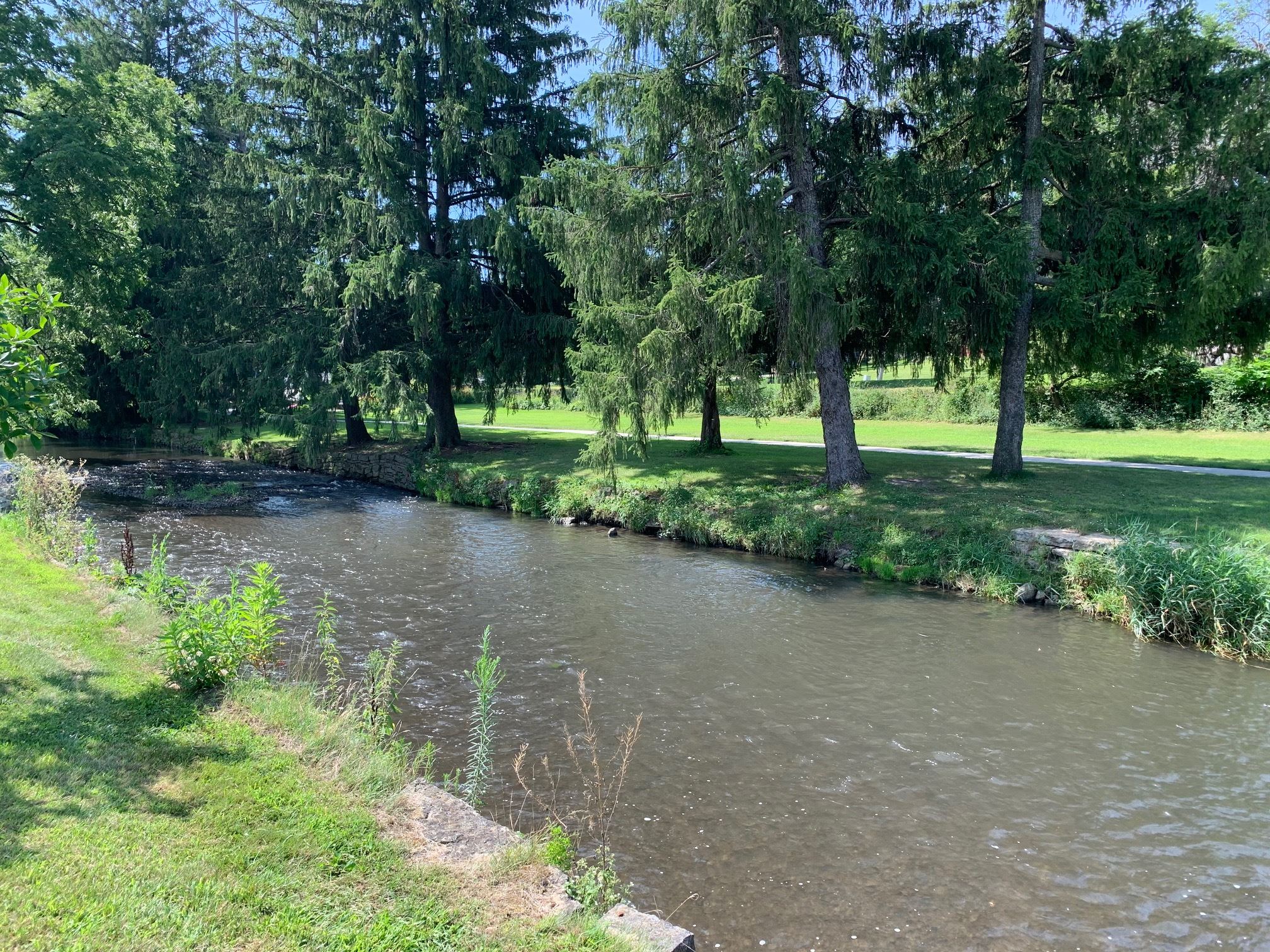 Lodi Park - Goeres - Spring Creek west wall south