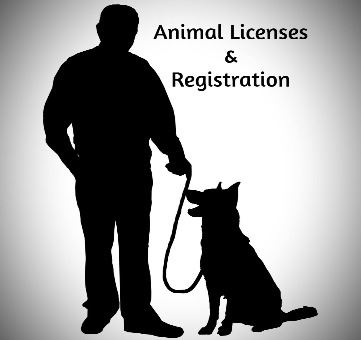 Animal Licenses and Registration