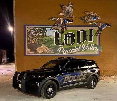 police squad in front of peaceful valley mural